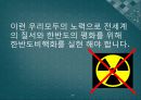 북한 핵 보유에 대한 한국의 생존전략 17페이지