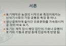 신석기 토기의 변화 3페이지