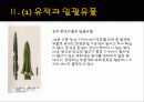 한국의 청동기 문화의 발달 35페이지
