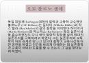 실존주의 학자, 볼르노, 부버 교육철학(생애, 교육사상, 교육관) 7페이지