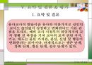 [유아교사론] 유아 교사의 발달 45페이지