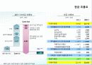 기업의 내부역량분석 - LG전자의 내부역량분석 18페이지