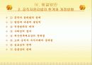 한국 관료제의 문제점과 구체적 해결방안 17페이지
