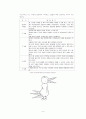 영유아 감각 및 지각 발달(의의, 개념, 정의, 특징, 영향, 요인, 영아기, 유아기) - 감각 및 지각 교육의 실제 10페이지