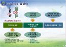 한국의 녹색 성장 저탄소 추진 현황 내용 17페이지