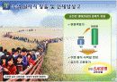 한국의 녹색 성장 저탄소 추진 현황 내용 19페이지