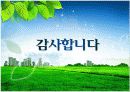 한국의 녹색 성장 저탄소 추진 현황 내용 29페이지