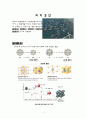 화학-화학결합 :  이온결합, 공유결합, 금속결합, 배위결합, 수소결합  1페이지