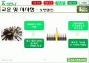 괴짜 사장 야마다 아키오(山田昭男) - 일본 미라이공업(未来工業/MIRAI INDUSTRY) 32페이지