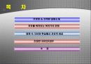 트루먼쇼 발표 시청 감상 소감문(자유의지) 2페이지