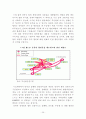 [경영학사 논문] 부산항만 문제점 분석 및 발전방안 29페이지