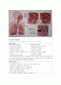 [아동간호 케이스] Pneumonia(폐렴) 아동에 대한 간호사례 연구 2페이지