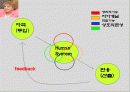 간호이론가 발표정리 (Conceptual Models and Theories of Nursing) 26페이지