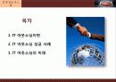 IT아웃소싱의 개념과 특징,사례,현황,문제점,나아갈방향,해결점 조사분석 2페이지