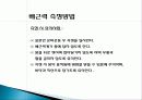 기초체력 - 체력의 정의와 건강 체력과 운동체력요소 11페이지