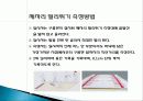 기초체력 - 체력의 정의와 건강 체력과 운동체력요소 13페이지