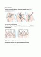 발달성 고관절 탈구 (CONGENITAL AND DEVELOPMENTAL DYSPLASIA OF THE HIP) 6페이지