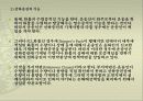 무역운송 21페이지