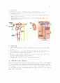 신부전(Renal failure)의 치료와 간호중재 3페이지