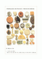 [프랑스문화] 프랑스 치즈 문화 - 국내외 치즈에 대한 관심과 프랑스의 대표적 치즈 등  6페이지