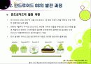 구글 안드로이드OS 4.0 아이스크림 샌드위치(ICS) VS 애플 iOS5 - ICS와 iOS5의 특징 및 기능, 장단점 비교, 향후 전망 고찰 9페이지