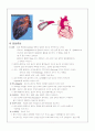 심근경색증(myocardial infarction) 케이스(Case Study) 3페이지