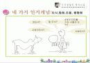 [피아제인지발달이론] 피아제인지발달이론에 대한 PPT자료 - 피아제인지발달이론 발표자료 PPT자료 15페이지