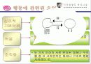 [피아제인지발달이론] 피아제인지발달이론에 대한 PPT자료 - 피아제인지발달이론 발표자료 PPT자료 17페이지