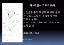 BIG BANG (시장,특허 조사 & 설계사양) 5페이지