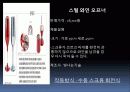 BIG BANG (시장,특허 조사 & 설계사양) 11페이지