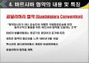 [무역관계법-국제무역법규] 바르샤바 협약 (WARSAW CONVENTION) 14페이지