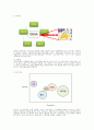 올가홀푸드 기업성공사례,마케팅사례분석및 마케팅전략제시,나의의견 8페이지