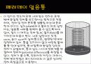 정전기_실험 13페이지