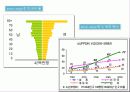 ★★저출산의 원인, 문제점, 심각성, 저출산 대책방안 발표자료★★ 5페이지