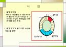 [★★★낙태 문제의 해결책 피임방법★★★] 낙태의 개념과 증가 원인 및 낙태의 문제점과 대책방안으로서의 피임에 대하여 20페이지