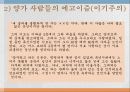 [아쿠타가와 류노스케] 작품으로 보는 아쿠타가와 류노스케의 삶과 작품 분석 및 인생 15페이지