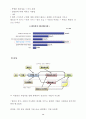 삼성전자 스마트폰 마케팅전략분석과 스마트폰이 IT산업에 미치는영향및 스마트폰 시장분석과 앞으로의 시장전망 28페이지