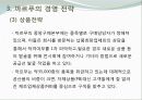 중국시장의 대표 유통기업-까르푸와 월마트의 사례분석 11페이지