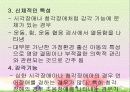 의사소통 장애의 정의, 분류, 특성, 원인, 진단, 교육, 치료 18페이지