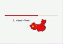 LG전자의 중국시장진출전략 5C 분석  3페이지