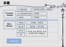 [화장품 브랜드 런칭] 시장분석, 브랜드 컨셉, 제품 개발, 유통, 마케팅 커뮤니케이션 11페이지