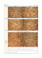 소성 가공 시험 (구리 시편을 이용한 소성가공 및 경도 측정) 9페이지