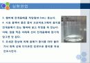 종이 크로마토그래피(Paper chromatography) 12페이지