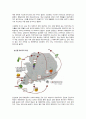 지구온난화가 한반도 기후변화 및 생태계[육상 및 해양]에 미치는 영향 8페이지