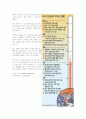 지구온난화가 한반도 기후변화 및 생태계[육상 및 해양]에 미치는 영향 14페이지