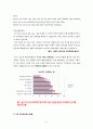 브이푸드의마케팅분석과홍보방안 21페이지