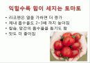 색(色)을 알면 건강이 보인다 Color Food(컬러푸드)의 영양소와 효능 6페이지