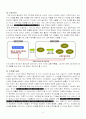 SNS 소셜네트워크서비스 정의,특징,사용현황,기업들의 sns활용사례,우리생활속sns,sns의 역기능과문제점,앞으로의발전방향,나의견해 17페이지