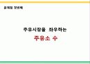 에스오일(S-OIL)광고기획안 및 커뮤니케이션 마케팅전략분석 16페이지