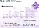 샤프란 광고전략기획서 44페이지